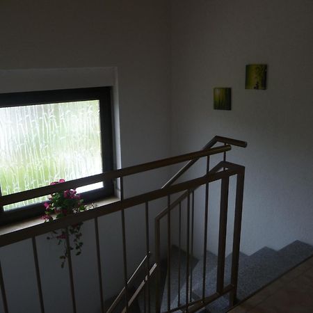 Pension Andrea Lugau Экстерьер фото
